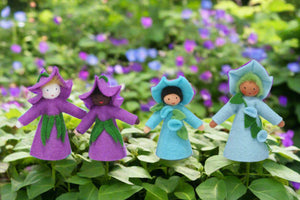 Morning Glory Fairy