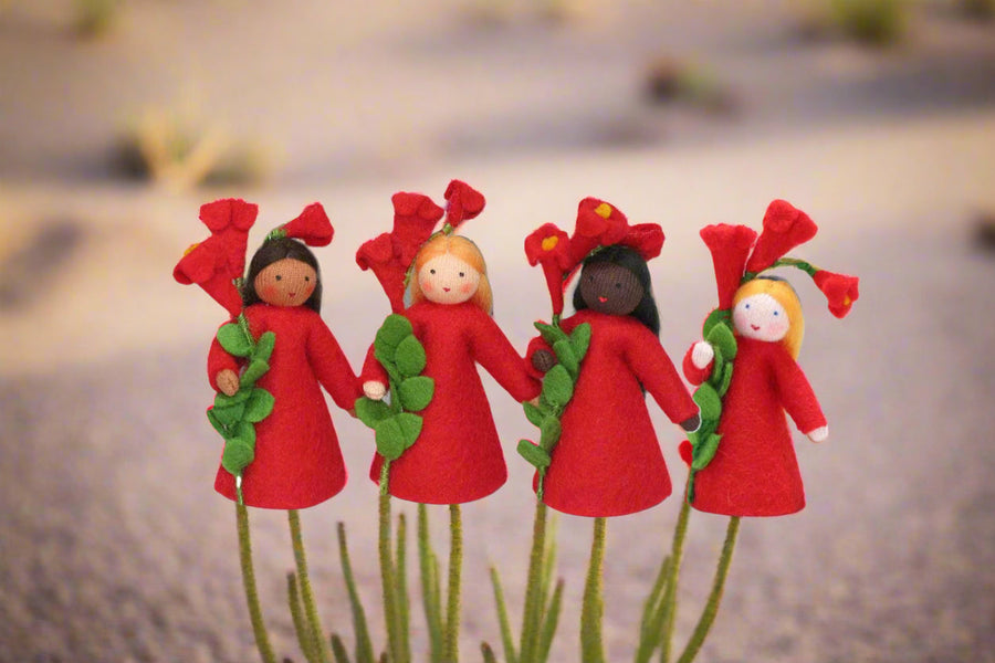 Ocotillo Fairy