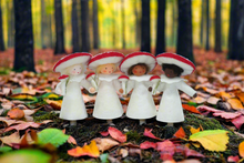 Fly Agaric Fairy (handmade decorative felt doll) - Eco Flower Fairies LLC - Waldorf Doll Shop - Handmade by Ambrosius