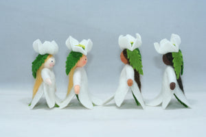 Christmas Rose Princess | Waldorf Doll Shop | Eco Flower Fairies | Handmade by Ambrosius