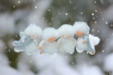 Snowflake Baby (handmade decorative felt doll) - Eco Flower Fairies LLC - Waldorf Doll Shop - Handmade by Ambrosius