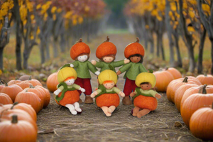 Pumpkin Siblings (handmade bendable doll set) - Eco Flower Fairies LLC - Waldorf Doll Shop - Handmade by Ambrosius