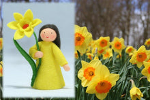 Daffodil Fairy | Waldorf Doll Shop | Eco Flower Fairies | Handmade by Ambrosius