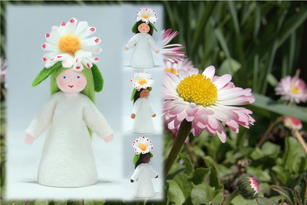 Common Daisy Fairy | Waldorf Doll Shop | Eco Flower Fairies | Handmade by Ambrosius