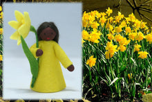 Daffodil Fairy | Waldorf Doll Shop | Eco Flower Fairies | Handmade by Ambrosius