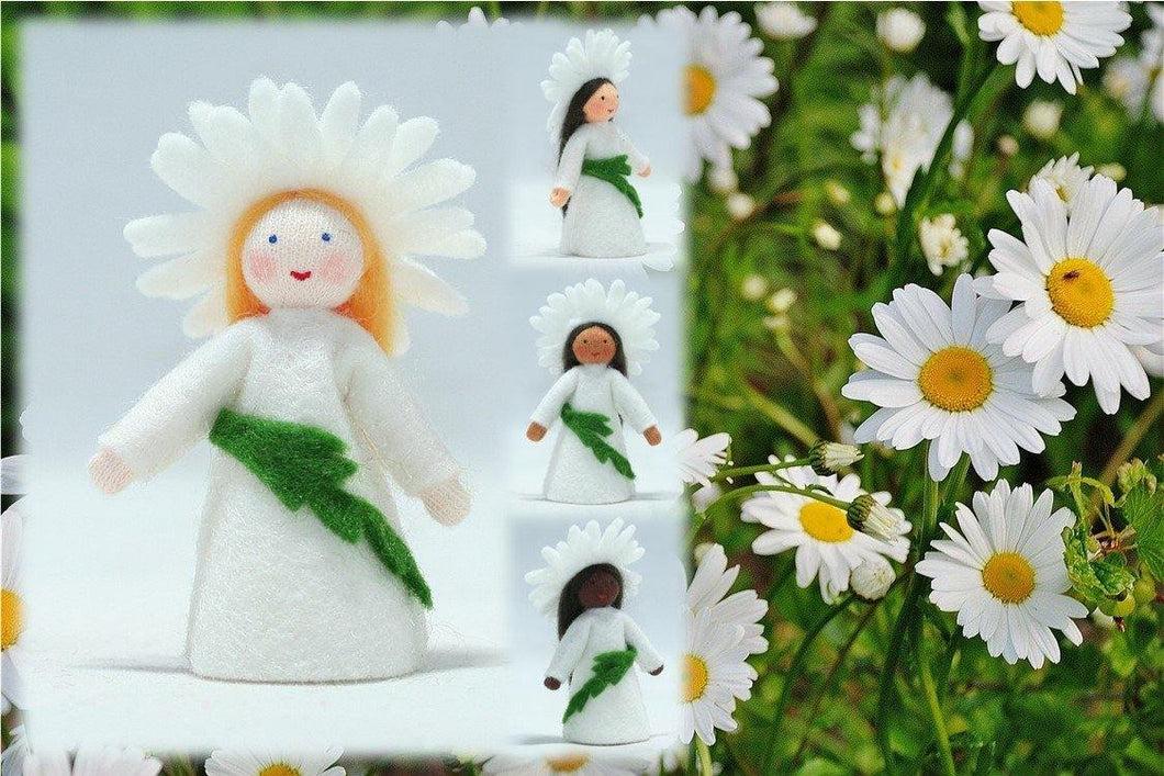 Daisy Fairy | Waldorf Doll Shop | Eco Flower Fairies | Handmade by Ambrosius